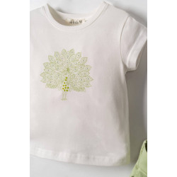 N.K Kalpli Ceketli Takım