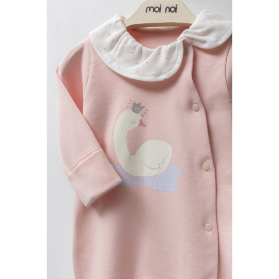 Moi noi Flamingo Tulum