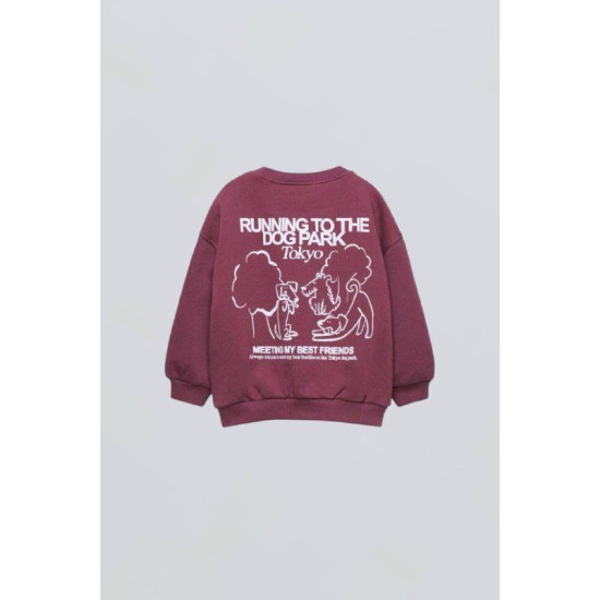 Lily Mürdüm Takım