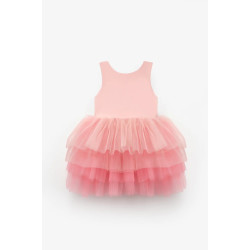 Lily Pudra Balerin Elbise 