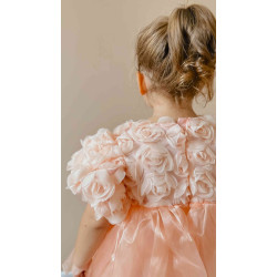 Lily Somon Gül Detaylı  Elbise